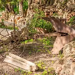 Finca Can Miquel Des Revellar